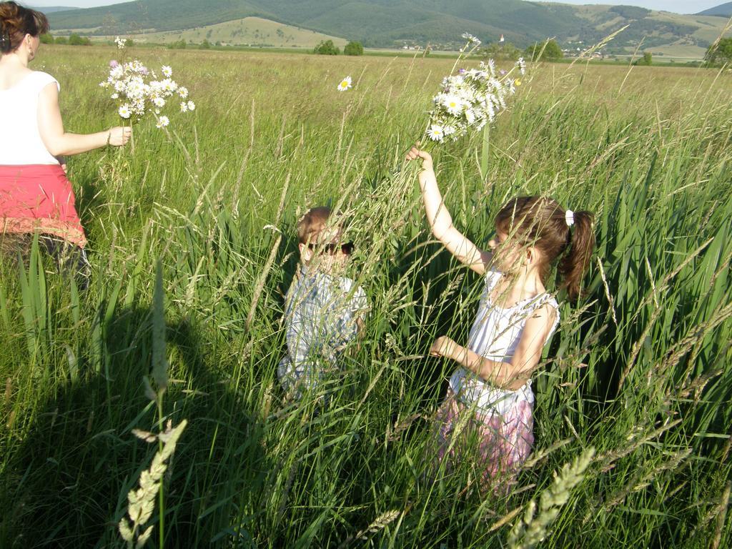 BicfălăuMokus Panzio住宿加早餐旅馆 外观 照片